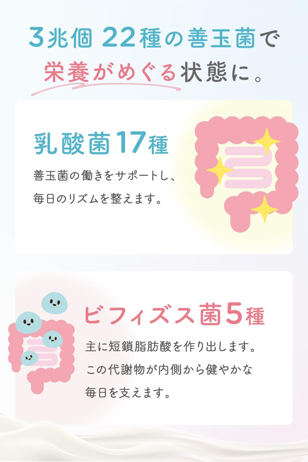 乳酸菌17種とビフィズス菌5種の説明